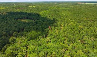 9191 Prestwood Bridge Rd, Andalusia, AL 36421