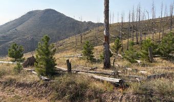 Pine Acres Rd, Bellvue, CO 80512
