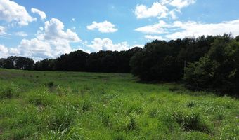 Lower Big Sandy Road, Big Sandy, TN 38221