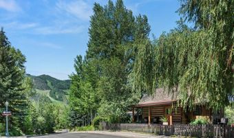 117 Neale Ave, Aspen, CO 81611