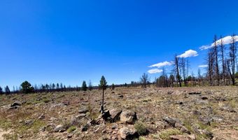 White Birch Lane lot 4, Bly, OR 97622