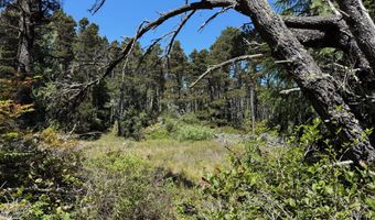 87219 BEACH Ln, Bandon, OR 97411