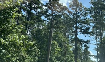 3306 Black Hill Rd, Bee Branch, AR 72013