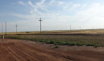 FM 597, Abernathy, TX 79311