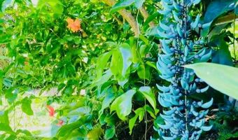 7953 Hana Hwy, Haiku, HI 96708