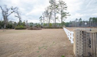 963 Springhill Church Rd, Alamo, GA 30411