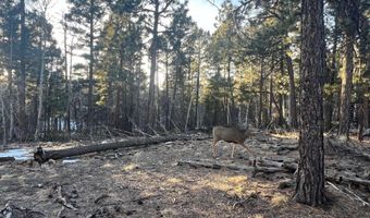 Lot 352 Vail Loop, Angel Fire, NM 87710