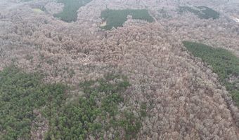 Cr 127, Abbeville, MS 38601