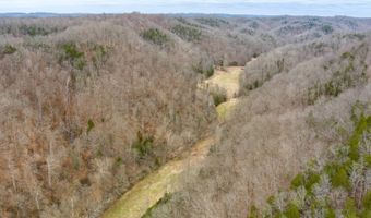 Willis Creek Rd, Albany, KY 42602