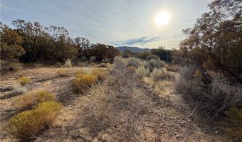 59255 Breiner Valley Rd, Anza, CA 92539