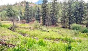 22954 Mt. Elbert Dr, Aguilar, CO 81020
