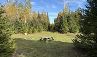 9415 Wreck Rd, Alpena, MI 49707