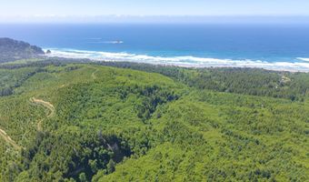 Shark Creek Ln, Arch Cape, OR 97102