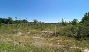 xxx County Hwy 73, Altha, FL 32421