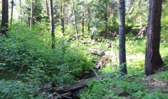 2159 Sierra Pkwy, Arnold, CA 95223