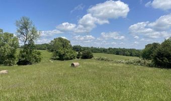 Tract # 13 Hunter Ray Way, Albany, KY 42602