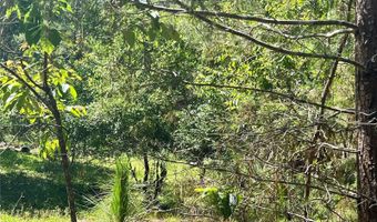 SE 152ND - RAVENSWOOD RD PARCEL B & C LOTS 16 17 Place, Altoona, FL 32702