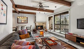 610 S West End St G204, Aspen, CO 81611