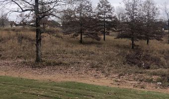 4061 Creek Top, Bauxite, AR 72011