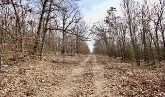 Trace Branch Rd, West Fork, AR 72774