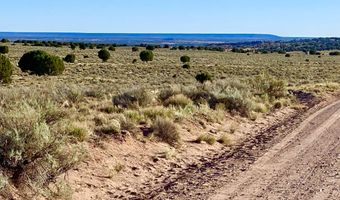 River Meadows Ranch Unit 3 Lot 204, Concho, AZ 85924