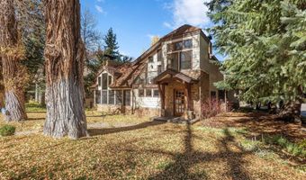 602 W Hallam St, Aspen, CO 81611