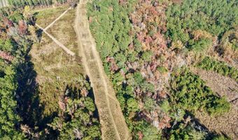 TBD Binnicker Bridge Road, Bamberg, SC 29003