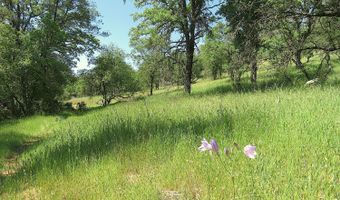 3528 Appaloosa Way, Angels Camp, CA 95222