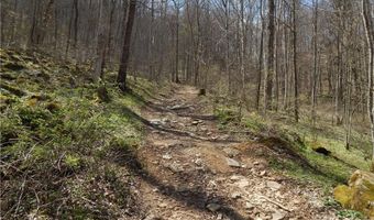 Gentry Farm Road, Aurora, NC 28743