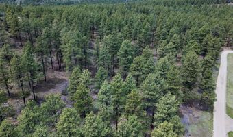 135 Meadow Ln, Bayfield, CO 81122