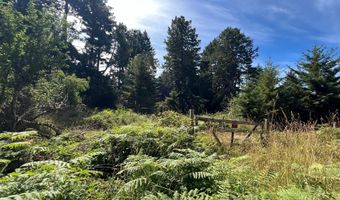 20452 WHALESHEAD Rd, Brookings, OR 97415