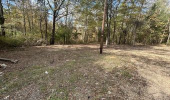 4 Co Rd 325, Big Creek, MS 38914