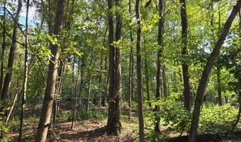 A Caprice Lane, Beech Island, SC 29842