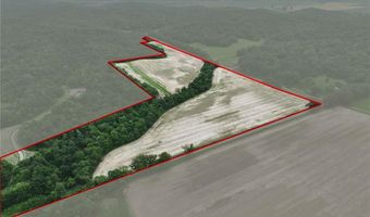 Off County Road 259, Advance, MO 63730