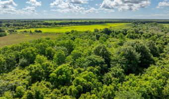 21737 Keno Rd, Abbeville, LA 70510
