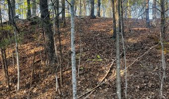 130 Lakeview Walk, Baldwin, GA 30511