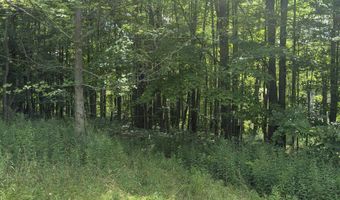 5672 Footville Richmond Rd, Andover, OH 44003