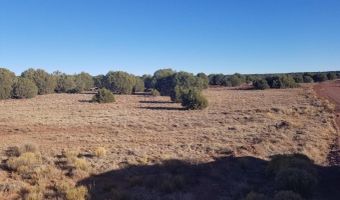Lot 35 CR 8281, Concho, AZ 85924