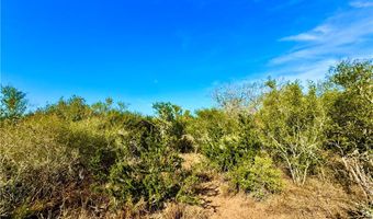 1252 CR 202, Alice, TX 78332