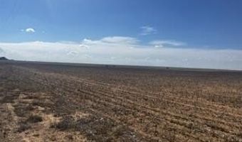Farm To Market Rd 54, Abernathy, TX 79311