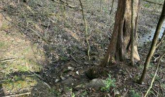 5 Acres Hwy 415, Albany, KY 42602