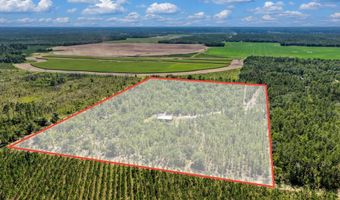 7000 NW 7th Way, Bell, FL 32619