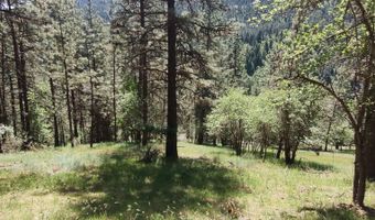 400 Bobcat Dr, Ahsahka, ID 83520