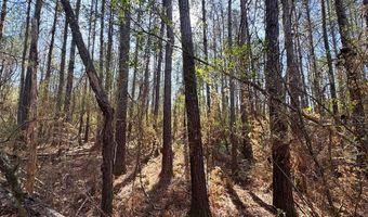 000 Mt Pleasant Ln SE, Bogue Chitto, MS 39629