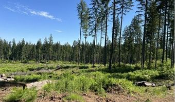 Tunnel Tract Parcel2, Banks, OR 97106