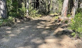 54785 McKenzie River Dr, Blue River, OR 97413