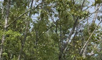 Parcel 4 Wreck Road, Alpena, MI 49707