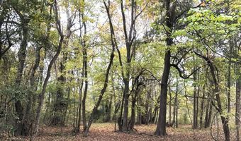 1071 LR 3, Ashdown, AR 71822