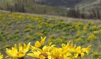 Tbd Gold Creek Way, Belfry, MT 59008