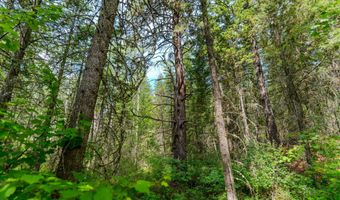 677 Latigo Ln, Bigfork, MT 59911